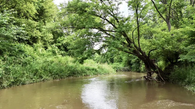 33.6± Acres on the Spoon River · Knox County