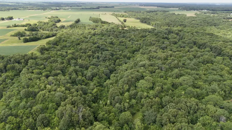 80 Acres in Peoria County with an Incredible Lake Site