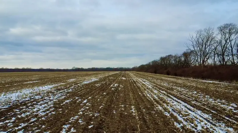 The Murrell Farm · 80± Productive Tillable Acres, Will County
