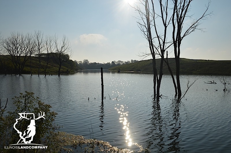 New Listing 90 Acres in Fulton County with 26 Acre Lake!LandCo