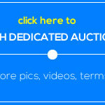 launch auction site