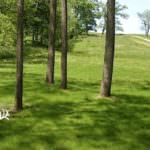 illinois-land-for-sale-100-acres-in-knox-county_8561194867_o1-921×517