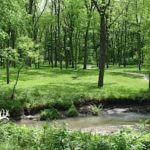 illinois-land-for-sale-100-acres-in-knox-county_8561194907_o1-921×517
