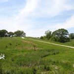 illinois-land-for-sale-100-acres-in-knox-county_8561195289_o1-921×517