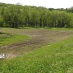 illinois-land-for-sale-100-acres-in-knox-county_8561195445_o1-921×517