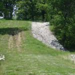 illinois-land-for-sale-100-acres-in-knox-county_8561195473_o1-921×517