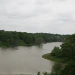 illinois-land-for-sale-100-acres-in-knox-county_8562298600_o1-921×517