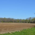 john-oreilly-landco2015-04-27_10-50-02illinois-land-for-sale-farmland-for-sale-921×517