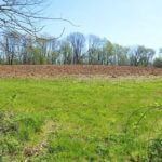 john-oreilly-landco2015-04-27_10-52-57illinois-land-for-sale-farmland-for-sale-921×517