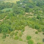 john-oreilly2013-08-26_15-22-01illinois-land-for-sale-fulton-county-hunting-farm-land1-921×517