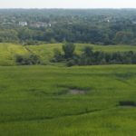 john-oreilly2013-08-26_15-24-06illinois-land-for-sale-fulton-county-hunting-farm-land-921×517
