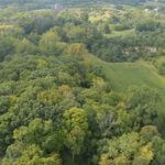 john-oreilly2013-08-26_15-24-39illinois-land-for-sale-fulton-county-hunting-farm-land1-921×517
