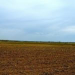 john-oreilly2014-04-23_18-11-28illinois-land-for-sale-fulton-county-hunting-farm-land-921×517