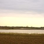 john-oreilly2014-04-23_18-13-17illinois-land-for-sale-fulton-county-hunting-farm-land-921×517