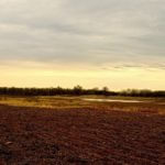 john-oreilly2014-04-23_18-48-24illinois-land-for-sale-fulton-county-hunting-farm-land-921×517