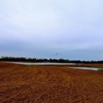 john-oreilly2014-04-23_19-11-08illinois-land-for-sale-fulton-county-hunting-farm-land-921×517