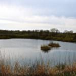 john-oreilly2014-04-23_19-34-37illinois-land-for-sale-fulton-county-hunting-farm-land-921×517