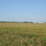 john-oreilly2014-09-19_12-50-40illinois-land-for-sale-fulton-county-hunting-farm-land-921×517