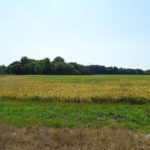 john-oreilly2014-09-19_13-06-55illinois-land-for-sale-fulton-county-hunting-farm-land-921×517
