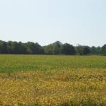 john-oreilly2014-09-19_13-07-44illinois-land-for-sale-fulton-county-hunting-farm-land-921×517