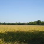 john-oreilly2014-09-19_13-10-19illinois-land-for-sale-fulton-county-hunting-farm-land-921×517