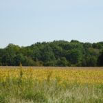 john-oreilly2014-09-19_13-10-51illinois-land-for-sale-fulton-county-hunting-farm-land-921×517