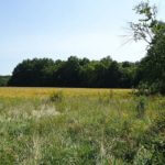 john-oreilly2014-09-19_13-11-08illinois-land-for-sale-fulton-county-hunting-farm-land-921×517