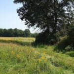 john-oreilly2014-09-19_13-12-06illinois-land-for-sale-fulton-county-hunting-farm-land-921×517