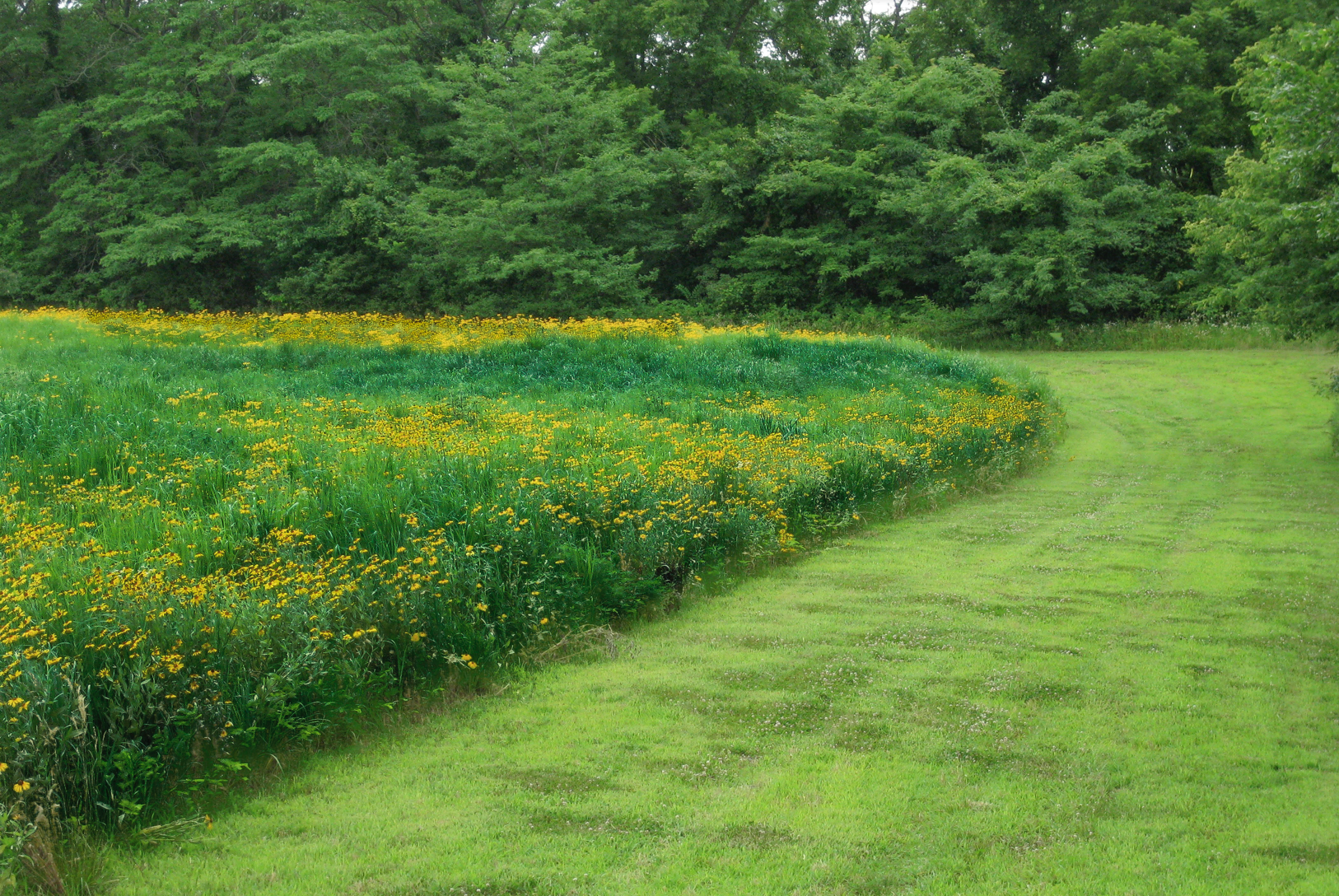 Land for Sale LandCo Farmland for Sale 20190829 at 4.20.23 PM