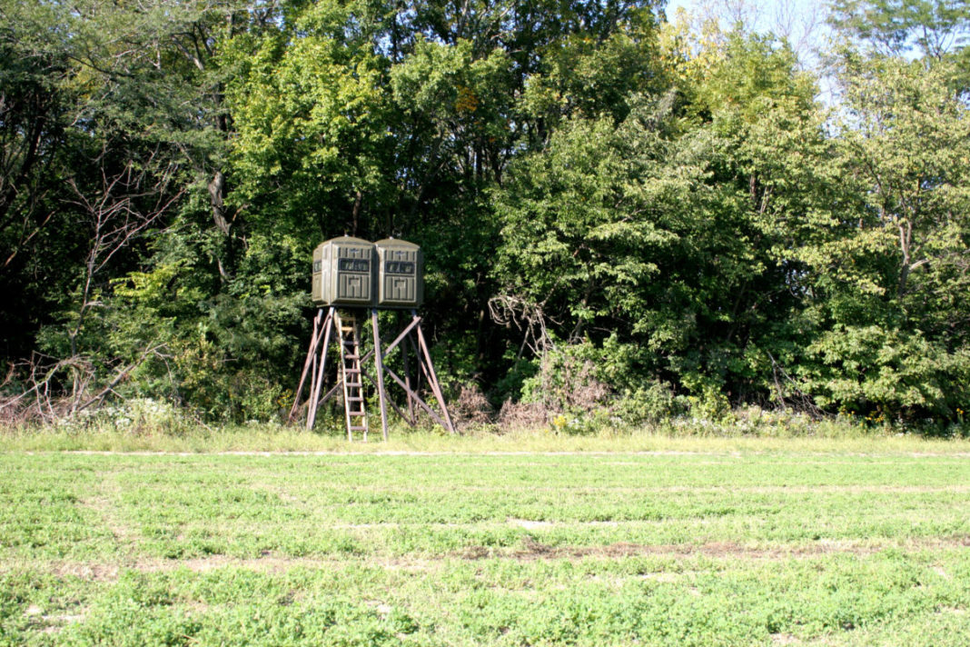 Property Development Ellis Point