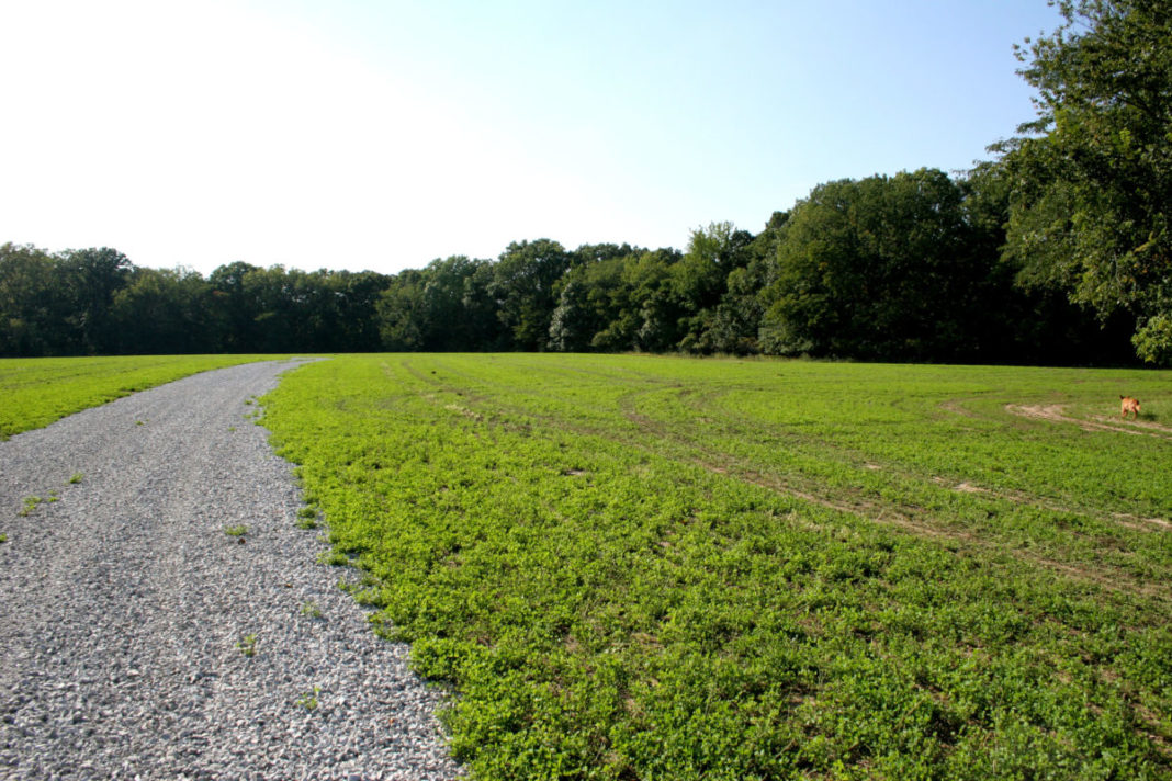 Property Development Ellis Point