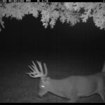 fulton-1473-trail-pics_8179347357_o