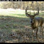 fulton-1473-trail-pics_8179348007_o