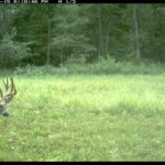 fulton-1473-trail-pics_8179348443_o-1