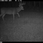 fulton-1473-trail-pics_8179350611_o