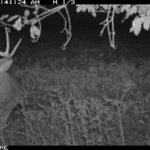 fulton-1473-trail-pics_8179379110_o-1