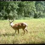 fulton-1473-trail-pics_8179383236_o