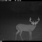 fulton-1473-trail-pics_8179384116_o