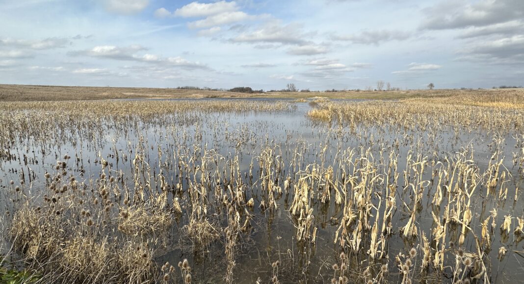 Listing 150200 Acres Fulton County LandCo Illinois Land