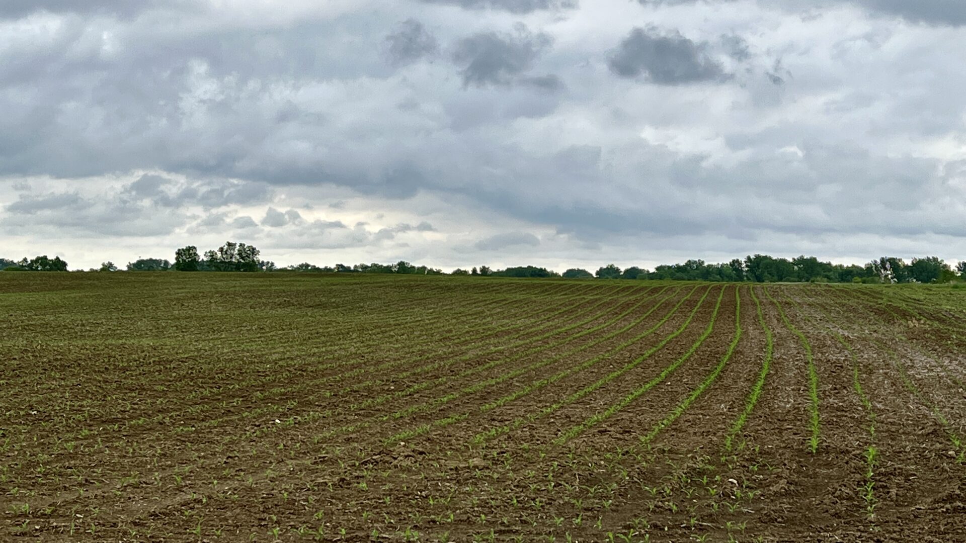 Listing 150200 Acres Fulton County LandCo Illinois Land