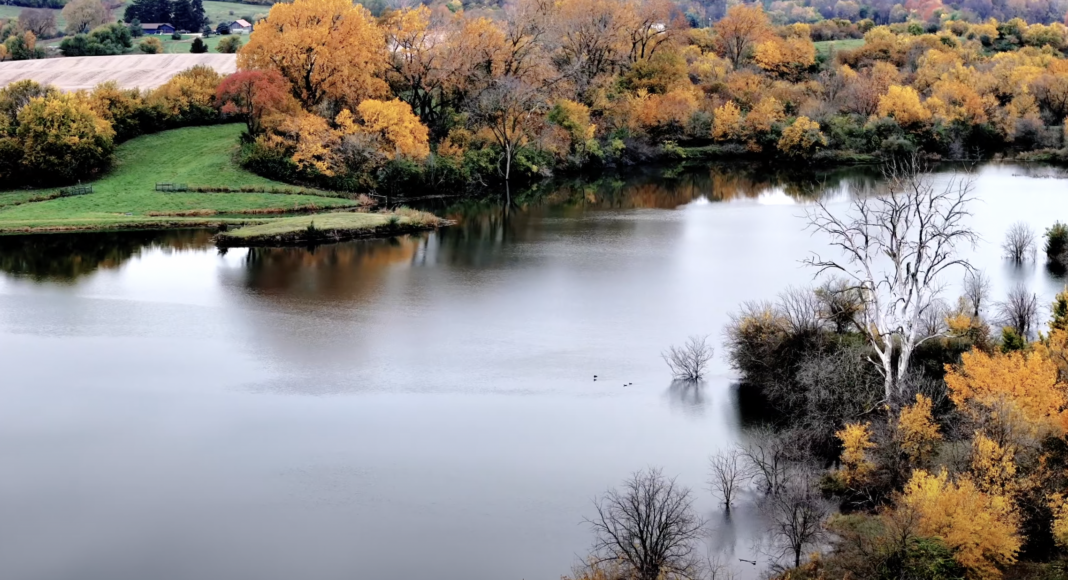 Listing 500600 Acres in Knox County LandCo Illinois